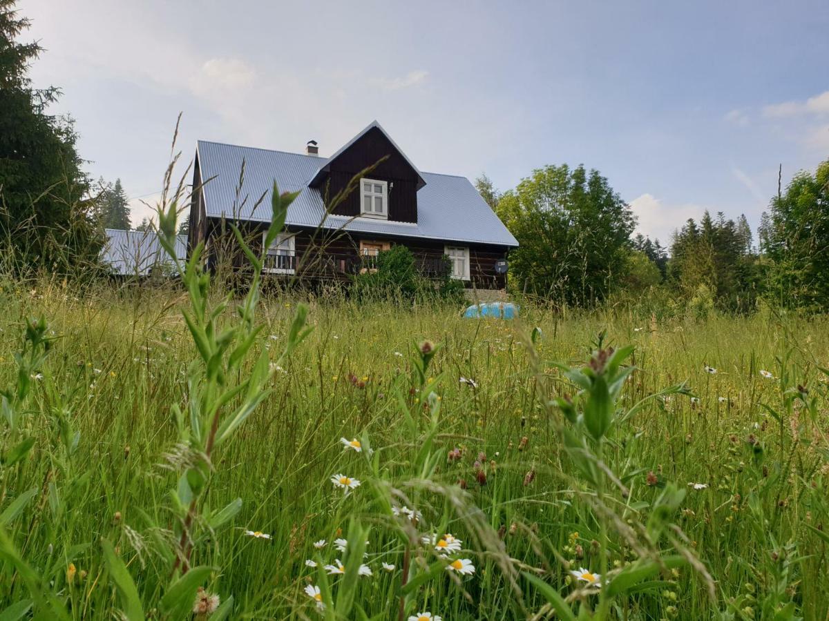 Chata Goralska Wojtasowka Kamesznica Exterior foto